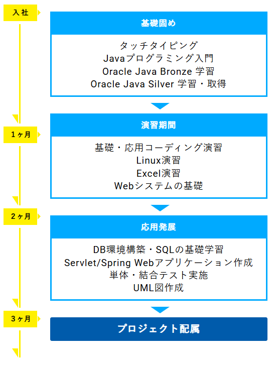 研修フロー図
